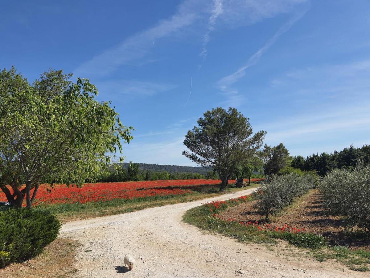 La Petite Galejade Villa Gordes Exteriör bild