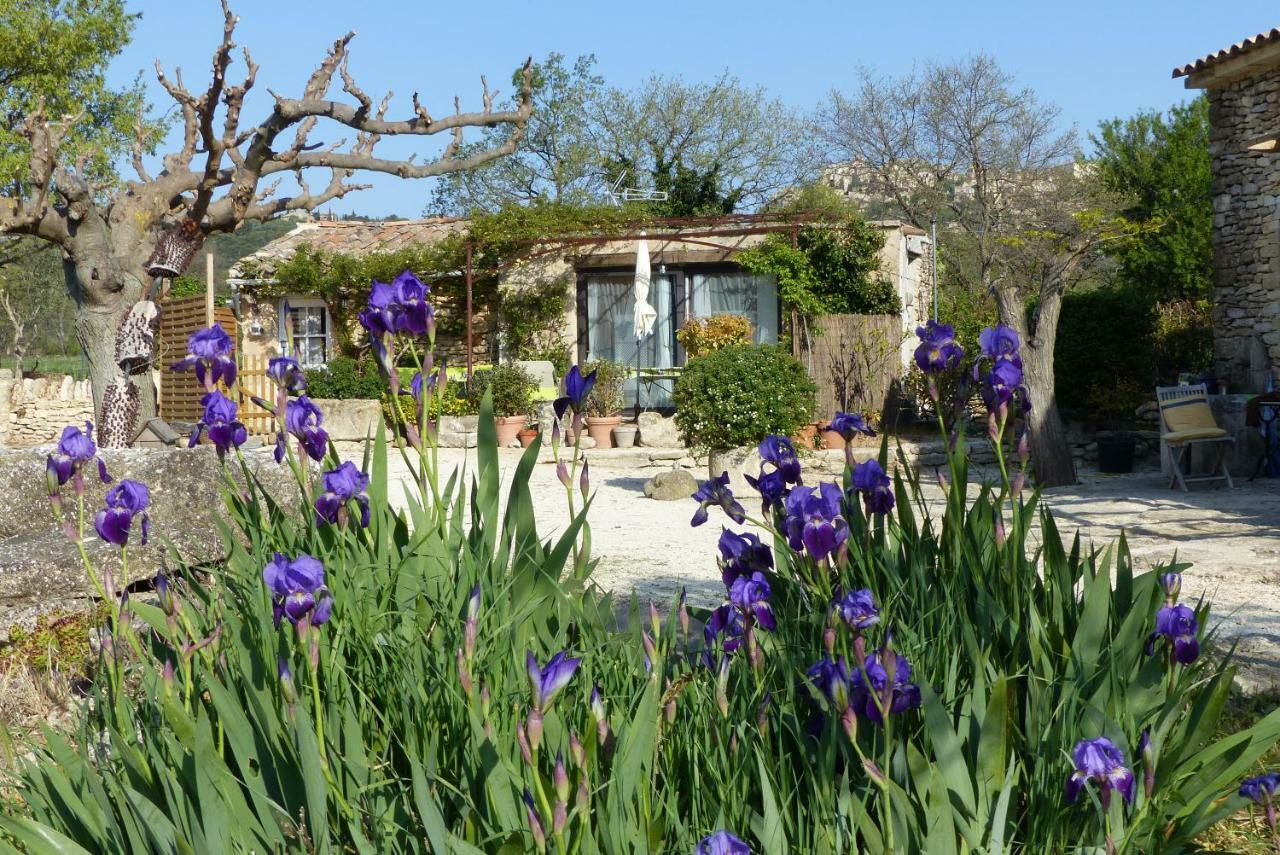 La Petite Galejade Villa Gordes Exteriör bild